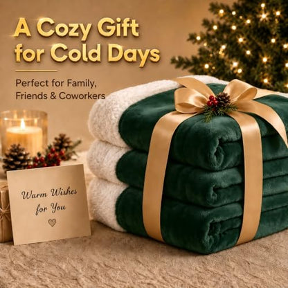 Heated Blanket Electric Blanket Queen Size 84''x90'' with 5 Heating Levels, 10 Hour Auto Shut Off, Machine Washable, Dual Controller Soft Warming Blanket for Couch, Bed, Office - Grass Green - color: 04-grass Green, size: 84''x90''(Queen)