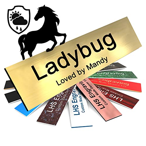 Horse Stall Name Plate, 2x8 Personalized Stall Signs, UV Protected, All Weather Adhesive, Hanging, Mounting or Other, Brushed Brass Plastic Black Letters - Made in USA - M6 - color: M6 Brushed Brs/Black, size: 2in x 8in (5.1cm x 20.8cm)