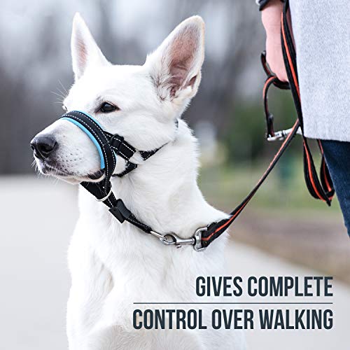 GoodBoy Dog Head Halter with Safety Strap - Stops Heavy Pulling On The Leash - Padded Headcollar for Small Medium and Large Dog Sizes - Head Collar Training Guide Included (Size 2, Blue) - color: Black Nylon / Blue Padding, size: Size 2 (Pack of 1)