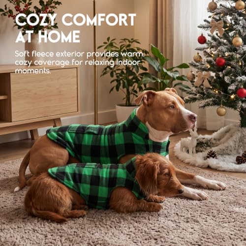 ASENKU Reversible Dog Winter Coat, Dog Jacket for Small Medium Large Dogs - color: Green, size: Small