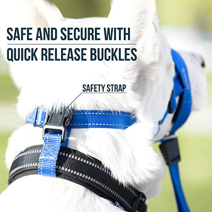 GoodBoy Dog Head Halter with Safety Strap - Stops Heavy Pulling On The Leash - Padded Headcollar for Small Medium and Large Dog Sizes - Head Collar Training Guide Included (Size 4, Blue Nylon) - color: Blue Nylon / Black Padding, size: Size 4 (Pack of 1)