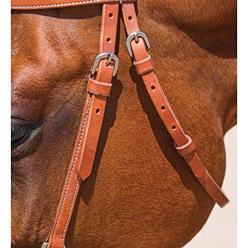 Schneiders Browband Training Bridle with Quick Change Snaps | Ideal for Everyday Riding | Supple Leather | Easy Bit Changes with Chrome Plated Snaps | Adjustable Fit for Most Horses | Size Full Horse