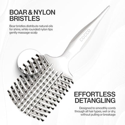 COCCO Aura Vent Boar Brush, Dual-Curved Design for Faster Drying - color: White