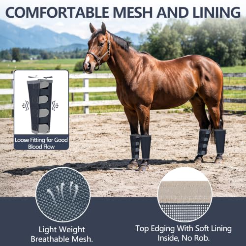 Fly Boots for Horses Set of 4 with Reflective Vercros, Loose Fitting Mesh Horse Fly Boots Leggings, Adjustable Equine Leg Wraps & Socks, Stay Up Not Sag, No Rub - color: Black Blue