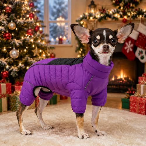Purple Dog Jacket, Windproof & Waterproof, Reflective, Adjustable, Zippered, Snow Jacket for Small to Large Dogs - color: Purple, size: M (11.5inch Back)