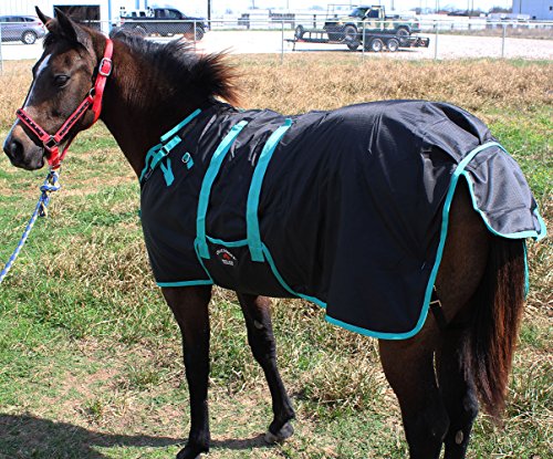 Challenger 1200D Miniature Weanling Donkey Pony Horse Foal Winter Blanket Teal 51945 - color: Black Turquoise Trim, size: 58 Inches