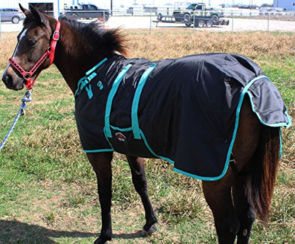 Challenger 1200D Miniature Weanling Donkey Pony Horse Foal Winter Blanket Teal 51945 - color: Black Turquoise Trim, size: 58 Inches