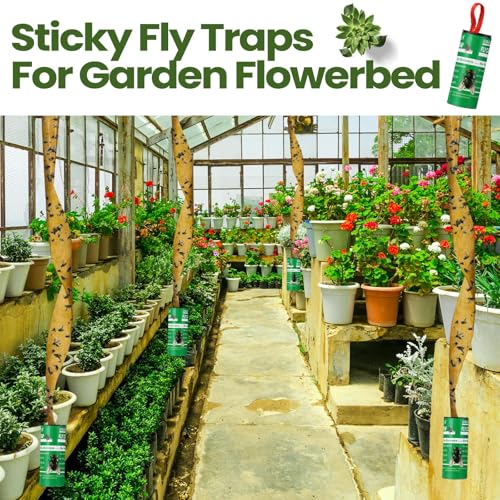 Qualirey 80 Pack Fly Strips Sticky Fly Trap Indoor Outdoor Hanging Ribbon Tape Paper Flying Insect Trap Gnat Killer Traps Catcher for Fruit Flies, Bug, Insect, Pest (Green) - color: Green