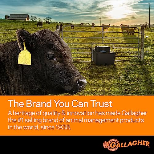 Gallagher M60 Electric Fence Charger | 110V Plug-in Energizer for Up to 20 Acres or 5 Miles | Low-Impedance Fencer for Livestock, Poultry, and Gardens | Compact & Reliable Power Source