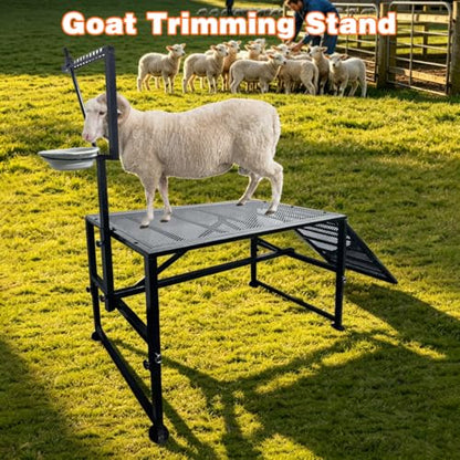 Adjustable Metal Goat Milking Stand，600LBS with Ramp & Feed Bin