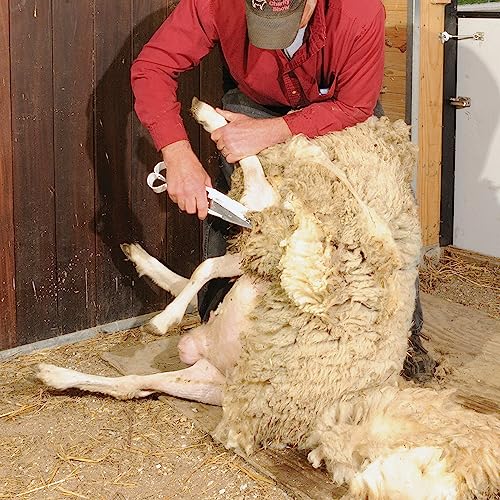 Premier 1 Triple Ground Hand Shear for Wool Sheep & Livestock - 6.5" Blade | Built-in rubber stops reduce clanking. Powder-painted handles for smooth comfort. Best for fitting & clipping wool sheep.