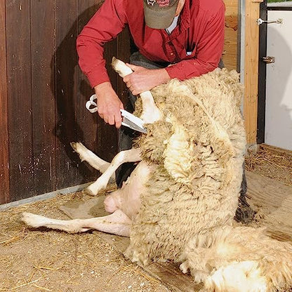 Premier 1 Triple Ground Hand Shear for Wool Sheep & Livestock - 6.5" Blade | Built-in rubber stops reduce clanking. Powder-painted handles for smooth comfort. Best for fitting & clipping wool sheep.