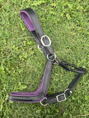 Leaders Padded Curved Leather Halter with Customized Engraved Name Plate Ergonomic Leather Halter for Horses - size: Horse Size Black/Purple