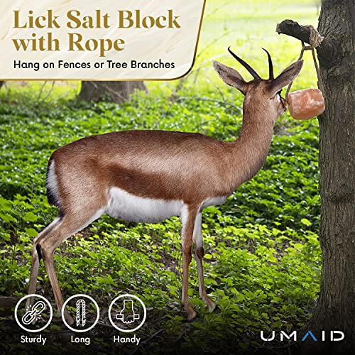 UMAID Himalayan Salt Lick 6 lbs on Rope for Horse, Deer, Goat & Livestock Animals, Salt Lick Deer, Salt Lick for Horses, Salt Block for Horses, Himalayan Salt Block 2 Pack - size: 6 Pound (Pack of 2)