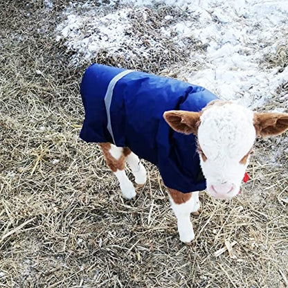 POPETPOP Calf Jacket Waterproof Windproof Winter Coat Livestock Warming Coat for Calves Easy Buckle Fit Warm Apparel for Cold Wet Pastures 42.51 X 33.46 in