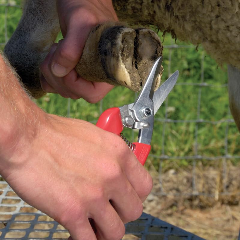 Premier 1 ARS 140DXR Serrated Hoof Trimmer & Garden Pruning Shears