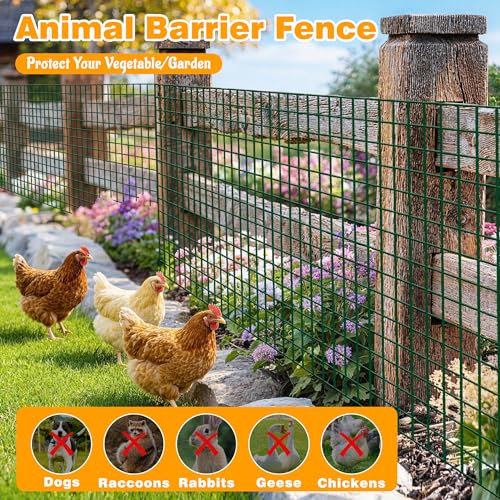 Green PVC Coated Welded Wire Fencing, 60in High x 100ft Long, 2 inch x 4 inch 14GA 2/3/4/5/6 Ft Tall Welded Wire Fence Rolls, Green Metal Garden Fence Wire Roll Garden Fencing for Yard - color: Green, size: 2"x4" 14GA 60" x 100'