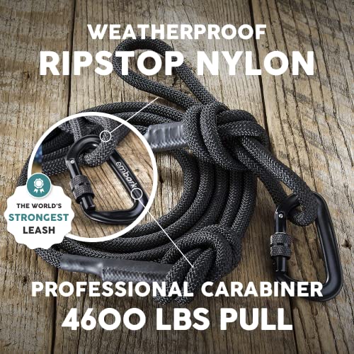 Embark Dog Leash - Heavy Duty Tough Nylon Training Lead for All Dog Breeds | Mountain Climbing Rope with Heavy Duty Locking Carabiner - Strong & Durable Nylon Pet Leash - 6 FT - Black - color: Black