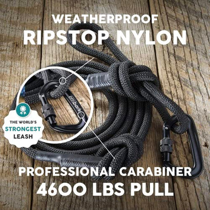 Embark Dog Leash - Heavy Duty Tough Nylon Training Lead for All Dog Breeds | Mountain Climbing Rope with Heavy Duty Locking Carabiner - Strong & Durable Nylon Pet Leash - 6 FT - Black - color: Black