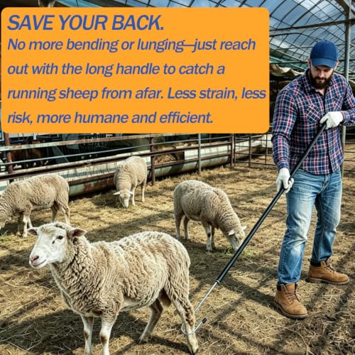 Goat Sheep Catcher Hook,Stainless Steel,4 Lengths 28-75",Non-Slip Grip | Heavy-duty rust-proof, 5 lengths, arc head balls no scratch, twist-lock release safe, catch while feeding no chase