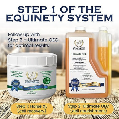 100-Day Supply Equinety Horse XL Powder Horse Supplement with Amino Acids - style: Horse XL