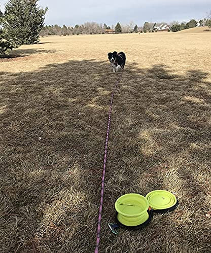 12FT Dog Tie-Out Rope + Bungee Dog Leash Extension
