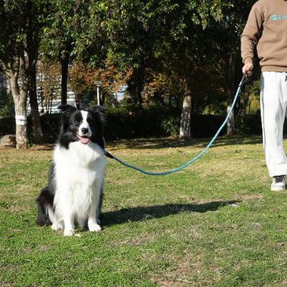 ZALER Rope Dog Leash, 4/5/6/10/15/20/30/50 Foot Reflective Dog Leashes with Carabiner, Heavy Duty Pet Lead for Large and Medium Dogs (4FT, Blue) - color: Blue, size: 4FT*1/2"