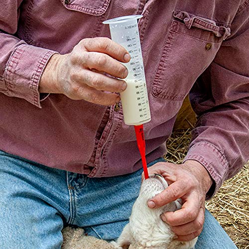 Premier 1 Supplies Shepherd's Lambing Essentials Kit