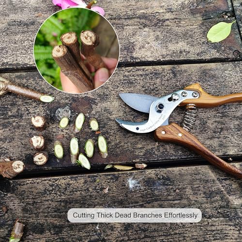 TONMA Anvil Pruning Shears [Made in Japan] Heavy Duty Garden Shears Secateurs, Japanese Gardening Scissors Plant Pruners Hedge Clippers, Ergonomic Imitation Wood Grain Aluminum Alloy Handle - style: Anvil Garden Shears (Wood Grain)