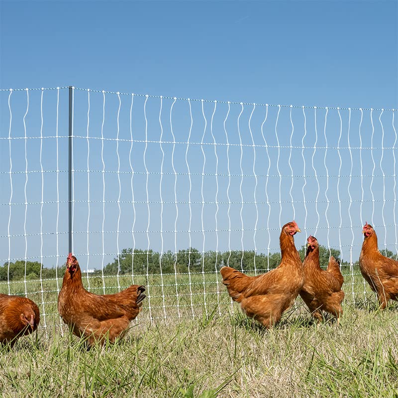Premier 1 PoultryNet® PrimaPosts™ Fence – Chickens – 48"H x 100'L - color: Single Spike, Blue/White