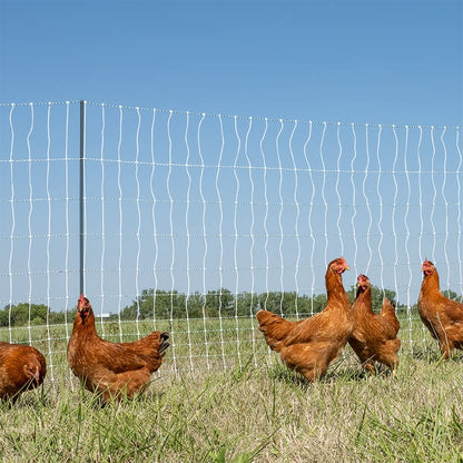 Premier 1 PoultryNet® PrimaPosts™ Fence – Chickens – 48"H x 100'L - color: Single Spike, Blue/White