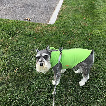Gooby Zip-Up Fleece Dog Sweater, Lime, Small - color: Lime, size: Small chest (~13.5")