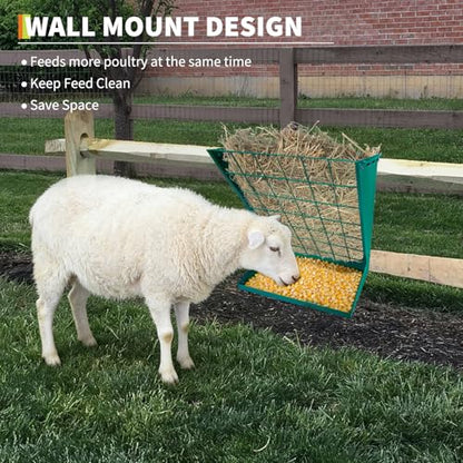 Wall Mount Hay Feeder, 2 in 1 Hay & Grain Livestock Feeder - color: Green