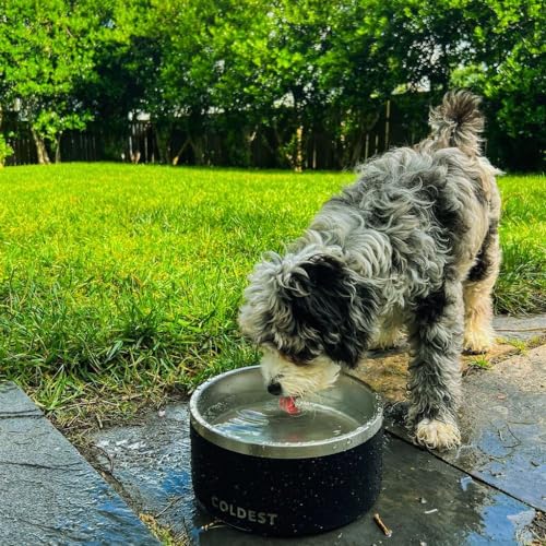 Coldest Dog Bowl - Anti Rust Metal, Non Slip, 3 Layers Insulated Stainless Steel Dog Bowls - Spill Proof & Heavy Duty - Water Bowl for Dogs, Cats & Pets, Dish Washer Safe (21 oz, Celestial Blue) - color: Celestial Blue, size: 21 oz