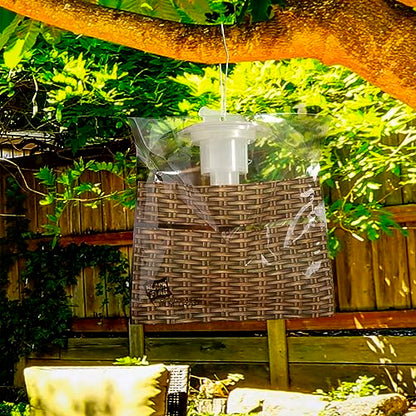 Black Flag Disposable Fly Trap, Attracts All Major Fly Species (Pack of 12) - size: 12 Pack