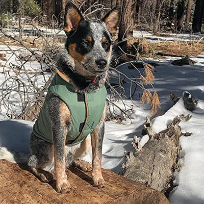 Gooby Sports Vest Dog Jacket, Green, Large - color: Green, size: Large chest (~19.5")