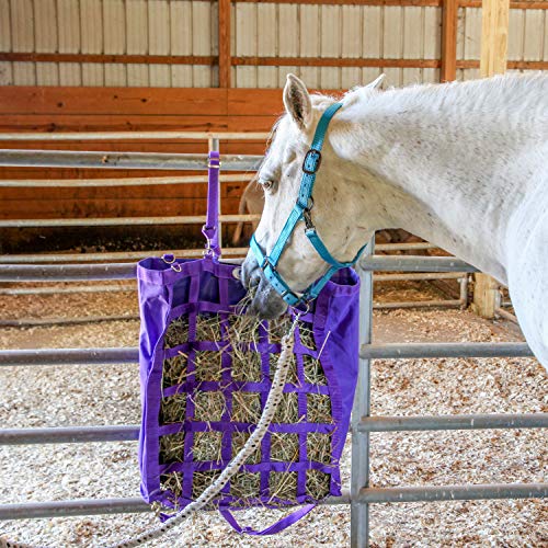 Majestic Ally Pack of 2 Adjustable Halter for Horses–Adjustable Chin and Crown– Sewn-in Throat Snap Hook- Heavy Duty Rose Gold or Black Nickel Finish Hardware–Full - color: Red