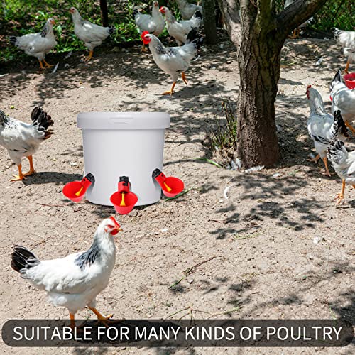 12Pack Chicken Waterer Cups,Poultry Water Cups,Automatic Poultry Waterer for DIY Poultry Quail Duck Chicken Bird Drinker