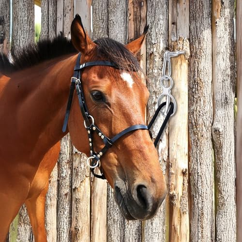 Lemecima 3 Sets Horse Tie Ring with Eye Bolt and Snaps Saddle, Heavy Duty Carbon Steel Horse-Tack Training Equipment - Safe Blocker Ring Horse Accessories and Supplies (Silver)