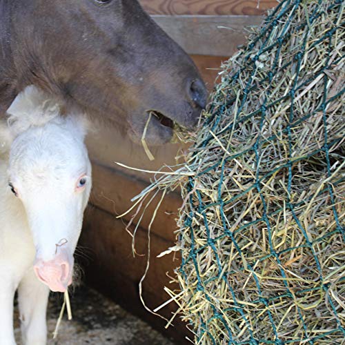 Derby Originals 48" Eager Feeder Slow Feed Hay Net - color: Black
