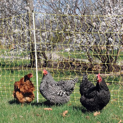 Premier 1 Yellow Electric Chicken Net with Posts – 48"H x 164'L | High-visibility yellow. Built-in posts. For chickens, ducks & turkeys. Energizer sold separately.