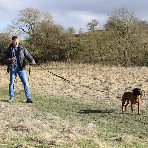 30ft Long Leash for Dogs - Long Line Dog Leash for Training Recall/Commands at Distance - Nylon, Heavy Duty - Ideal for Large & Small Breeds - size: 30ft
