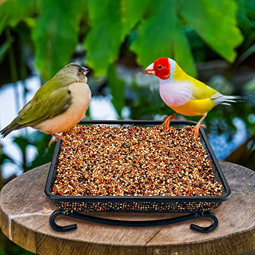 MIXXIDEA Ground Bird Feeder Tray, Metal Platform Mesh Seed Tray for Bird Feeders, Great Attracting Garden Yard Decoration for Wild Birds Squirrels Dove (1 Pack) - size: 7x7 inches (1 pack)
