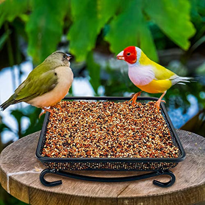 MIXXIDEA Ground Bird Feeder Tray, Metal Platform Mesh Seed Tray for Bird Feeders, Great Attracting Garden Yard Decoration for Wild Birds Squirrels Dove (1 Pack) - size: 7x7 inches (1 pack)