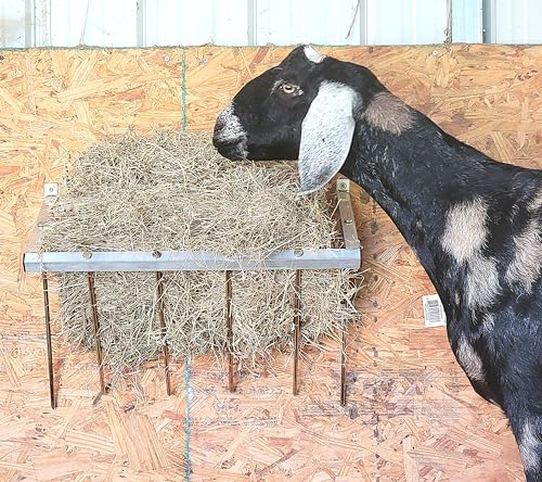 24 Inch Wall Mounted Sheep & Goat Two Flake Hay Feeder USA Texas Made Quality Aluminum