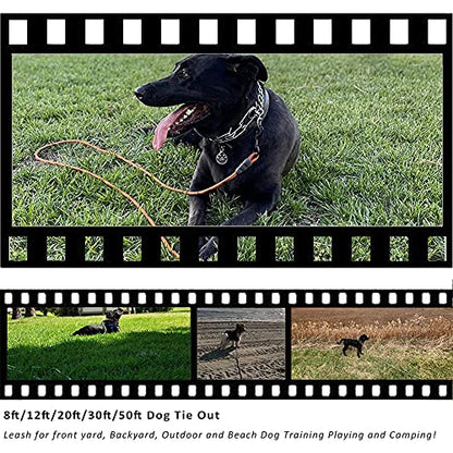 BTINESFUL Dog Tie Out Long Tether Rope Dog Lead for Yard 8/12/20/30/50/75ft - color: Blue Black, size: 12 Foot