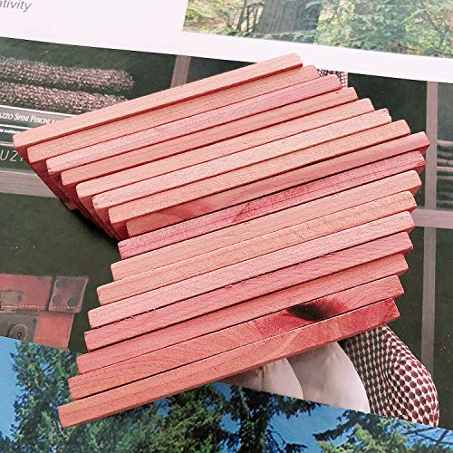 Cedar Space Cedar Blocks for Clothes Storage, 16 PCS Cedar Chips for Closet - size: 16 Count (Pack of 1)