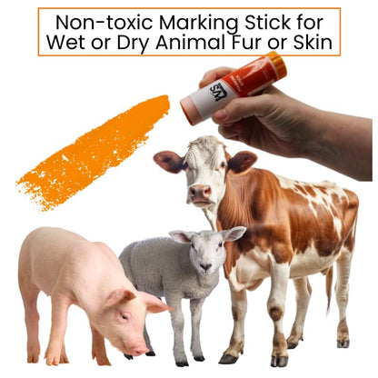 Twist Livestock Marking Sticks – 4 Pack | Orange | Livestock - color: Orange