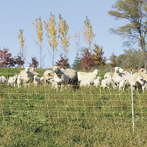 Premier 1 Yellow Electric Sheep & Goat Net Fence – 35"H x 164'L