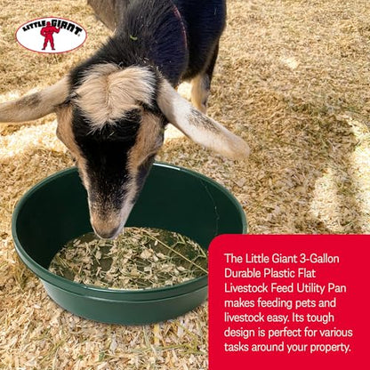 3 Gallon Plastic Utility Pan